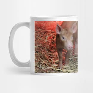 This Little Piggy Mug